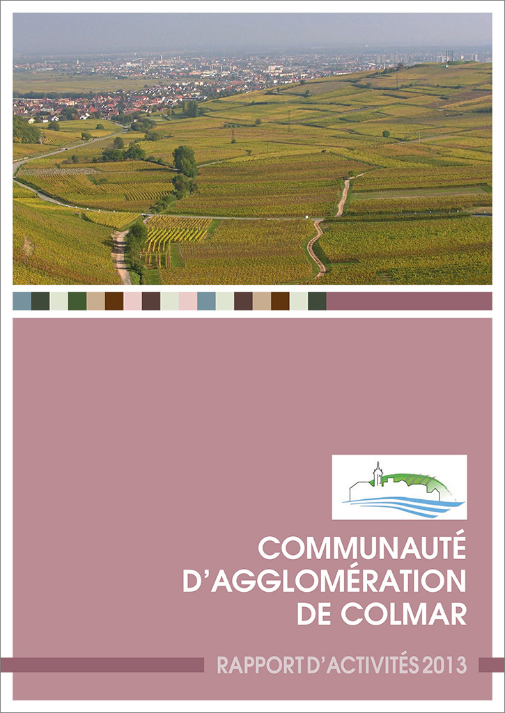 Le rapport d'activités 2013